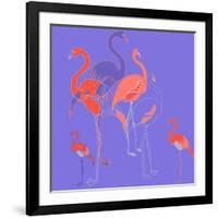 Flamingoes-Anna Platts-Framed Giclee Print