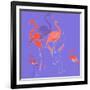 Flamingoes-Anna Platts-Framed Giclee Print