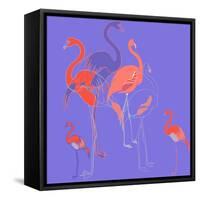 Flamingoes-Anna Platts-Framed Stretched Canvas