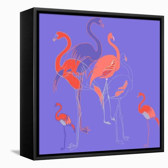 Flamingoes-Anna Platts-Framed Stretched Canvas