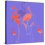 Flamingoes-Anna Platts-Stretched Canvas