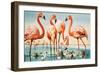 Flamingoes-null-Framed Giclee Print