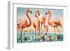 Flamingoes-null-Framed Giclee Print