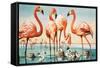 Flamingoes-null-Framed Stretched Canvas