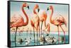 Flamingoes-null-Framed Stretched Canvas