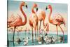 Flamingoes-null-Stretched Canvas