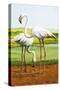 Flamingoes-D. W. Makela-Stretched Canvas