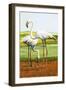 Flamingoes-D. W. Makela-Framed Giclee Print