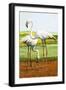 Flamingoes-D. W. Makela-Framed Giclee Print