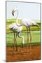 Flamingoes-D. W. Makela-Mounted Giclee Print