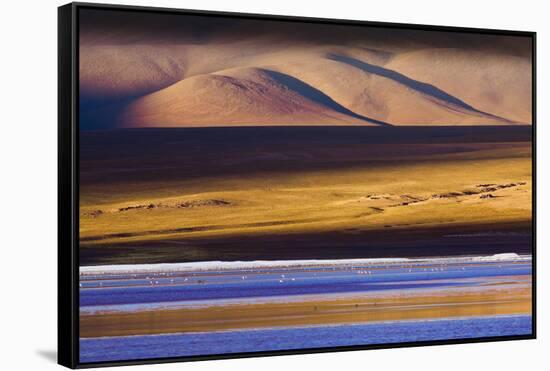 Flamingos, Altiplano, Bolivia-Art Wolfe-Framed Stretched Canvas