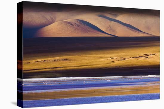 Flamingos, Altiplano, Bolivia-Art Wolfe-Stretched Canvas