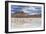 Flamingos feeding in Laguna Canapa, an endorheic salt lake in the altiplano, Potosi Department-Michael Nolan-Framed Photographic Print