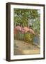 Flamingos, Florida-null-Framed Art Print