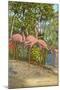 Flamingos, Florida-null-Mounted Art Print