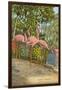 Flamingos, Florida-null-Framed Art Print