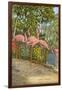 Flamingos, Florida-null-Framed Art Print