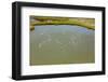 Flamingos flying in wetland on the Aegean coast, Turkey.-Ali Kabas-Framed Photographic Print