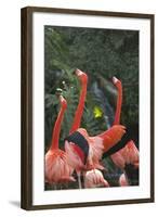 Flamingos I-Karyn Millet-Framed Photographic Print