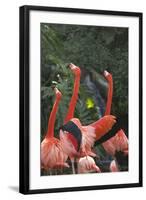 Flamingos I-Karyn Millet-Framed Photographic Print