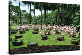 Flamingos in Garden.-Mattanin Nonchang-Stretched Canvas