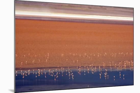 Flamingos in Laguna Colorada, Eduardo Abaroa Andean Fauna National Reserve, Bolivia-Keren Su-Mounted Photographic Print