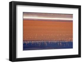 Flamingos in Laguna Colorada, Eduardo Abaroa Andean Fauna National Reserve, Bolivia-Keren Su-Framed Photographic Print