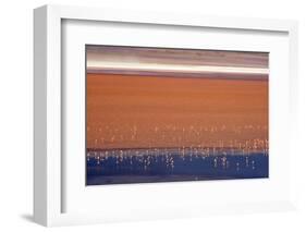 Flamingos in Laguna Colorada, Eduardo Abaroa Andean Fauna National Reserve, Bolivia-Keren Su-Framed Photographic Print