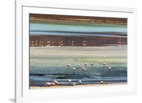 Flamingos in Laguna Hedionda, Potosi Department, Bolivia.-Keren Su-Framed Photographic Print