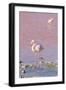 Flamingos, Laguna Colorada, Reserva Nacional De Fauna Andina Eduardo Avaroa, Los Lipez, Bolivia-Elzbieta Sekowska-Framed Photographic Print