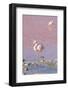 Flamingos, Laguna Colorada, Reserva Nacional De Fauna Andina Eduardo Avaroa, Los Lipez, Bolivia-Elzbieta Sekowska-Framed Photographic Print