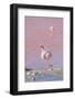 Flamingos, Laguna Colorada, Reserva Nacional De Fauna Andina Eduardo Avaroa, Los Lipez, Bolivia-Elzbieta Sekowska-Framed Photographic Print