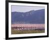 Flamingos, Lake Bogoria, Kenya, East Africa, Africa-Storm Stanley-Framed Photographic Print