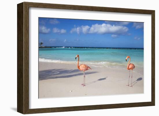 Flamingos on Flamingo Beach, Renaissance Island, Oranjestad, Aruba, Lesser Antilles-Jane Sweeney-Framed Photographic Print