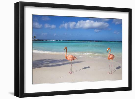 Flamingos on Flamingo Beach, Renaissance Island, Oranjestad, Aruba, Lesser Antilles-Jane Sweeney-Framed Photographic Print