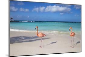 Flamingos on Flamingo Beach, Renaissance Island, Oranjestad, Aruba, Lesser Antilles-Jane Sweeney-Mounted Photographic Print