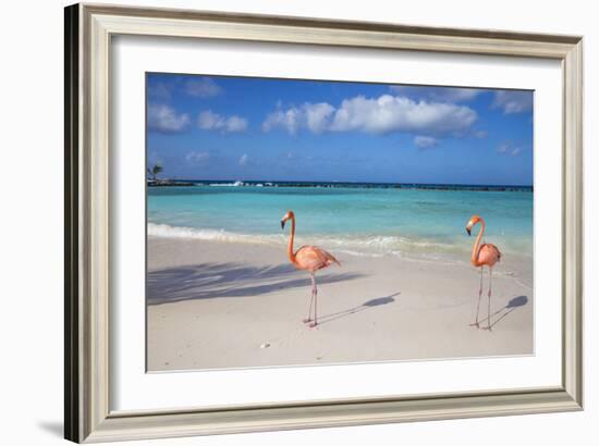 Flamingos on Flamingo Beach, Renaissance Island, Oranjestad, Aruba, Lesser Antilles-Jane Sweeney-Framed Photographic Print