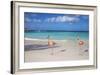 Flamingos on Flamingo Beach, Renaissance Island, Oranjestad, Aruba, Lesser Antilles-Jane Sweeney-Framed Photographic Print