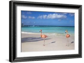 Flamingos on Flamingo Beach, Renaissance Island, Oranjestad, Aruba, Lesser Antilles-Jane Sweeney-Framed Photographic Print