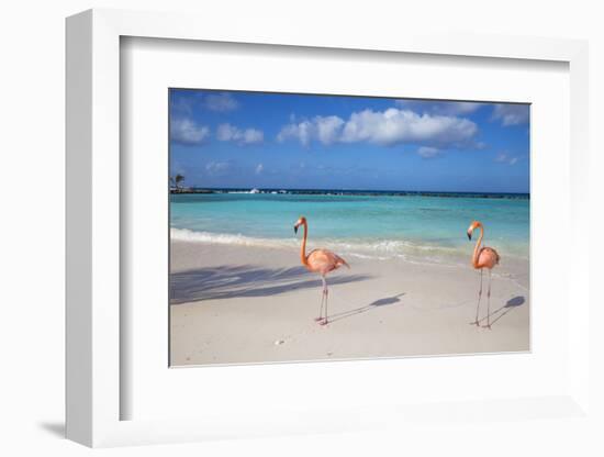 Flamingos on Flamingo Beach, Renaissance Island, Oranjestad, Aruba, Lesser Antilles-Jane Sweeney-Framed Premium Photographic Print
