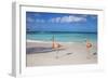 Flamingos on Flamingo Beach, Renaissance Island, Oranjestad, Aruba, Lesser Antilles-Jane Sweeney-Framed Premium Photographic Print
