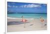 Flamingos on Flamingo Beach, Renaissance Island, Oranjestad, Aruba, Lesser Antilles-Jane Sweeney-Framed Photographic Print