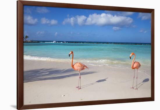 Flamingos on Flamingo Beach, Renaissance Island, Oranjestad, Aruba, Lesser Antilles-Jane Sweeney-Framed Photographic Print