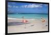 Flamingos on Flamingo Beach, Renaissance Island, Oranjestad, Aruba, Lesser Antilles-Jane Sweeney-Framed Photographic Print