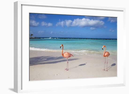 Flamingos on Flamingo Beach, Renaissance Island, Oranjestad, Aruba, Lesser Antilles-Jane Sweeney-Framed Photographic Print