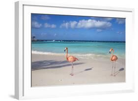 Flamingos on Flamingo Beach, Renaissance Island, Oranjestad, Aruba, Lesser Antilles-Jane Sweeney-Framed Photographic Print
