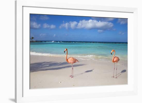 Flamingos on Flamingo Beach, Renaissance Island, Oranjestad, Aruba, Lesser Antilles-Jane Sweeney-Framed Photographic Print