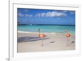 Flamingos on Flamingo Beach, Renaissance Island, Oranjestad, Aruba, Lesser Antilles-Jane Sweeney-Framed Photographic Print