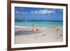 Flamingos on Flamingo Beach, Renaissance Island, Oranjestad, Aruba, Lesser Antilles-Jane Sweeney-Framed Photographic Print