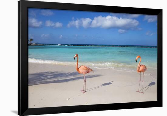 Flamingos on Flamingo Beach, Renaissance Island, Oranjestad, Aruba, Lesser Antilles-Jane Sweeney-Framed Photographic Print